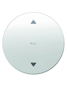 Berker R.1/R.3 Przycisk...