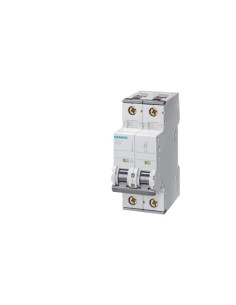Wyłącznik nadprądowy 2P C...