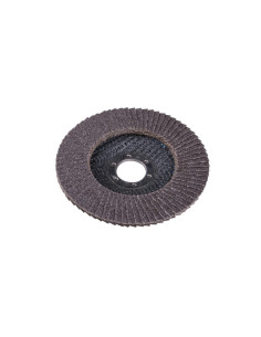 ŚCIERNICA LISTKOWA...