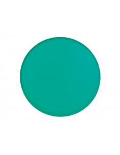 Napęd przycisku grzybkowego... 2