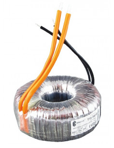 Transformator toroidalny...