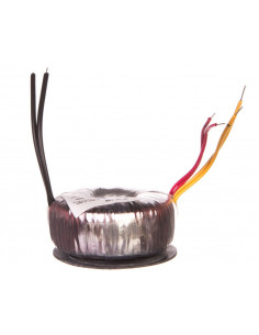 Transformator toroidalny...