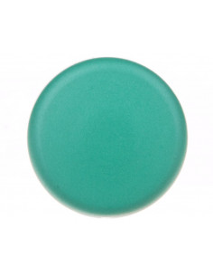 Napęd przycisku grzybkowego... 2