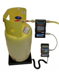 Moduł elektromagnetyczny... 2